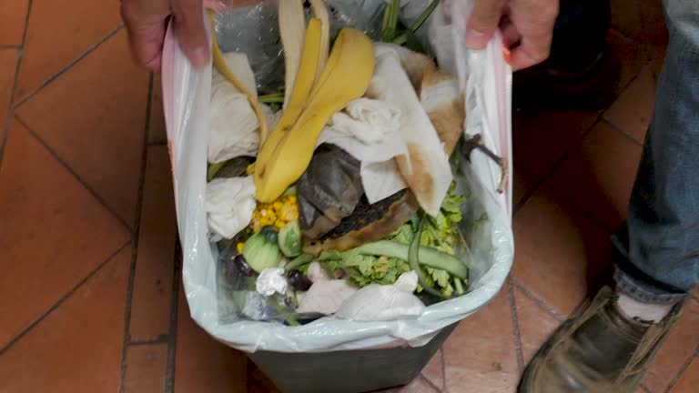 Best Yard Waste Removal  in Moweaqua, IL